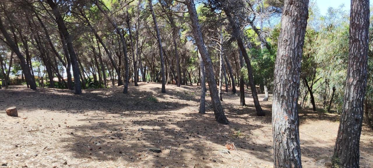 Oasis Escape Villa Vaccarizzo-Delfino Kültér fotó