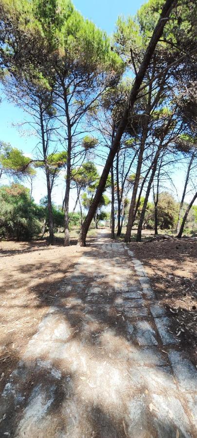 Oasis Escape Villa Vaccarizzo-Delfino Kültér fotó