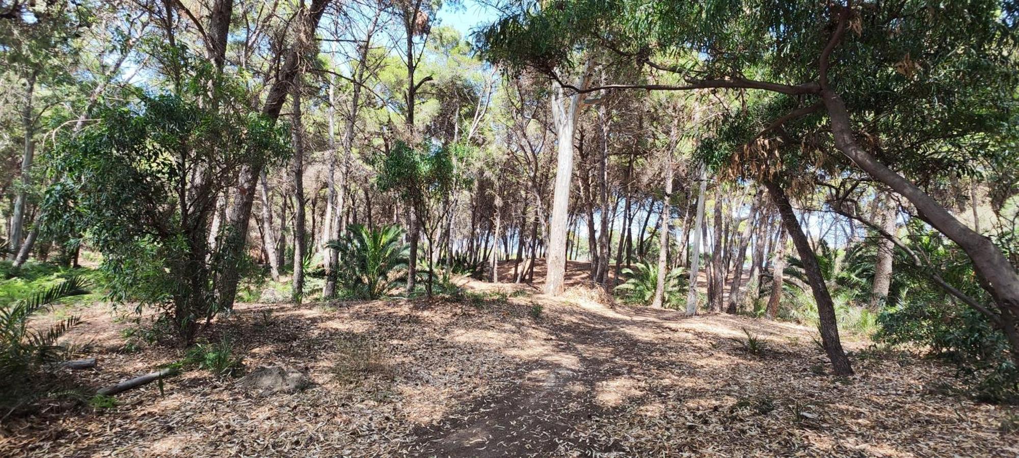 Oasis Escape Villa Vaccarizzo-Delfino Kültér fotó