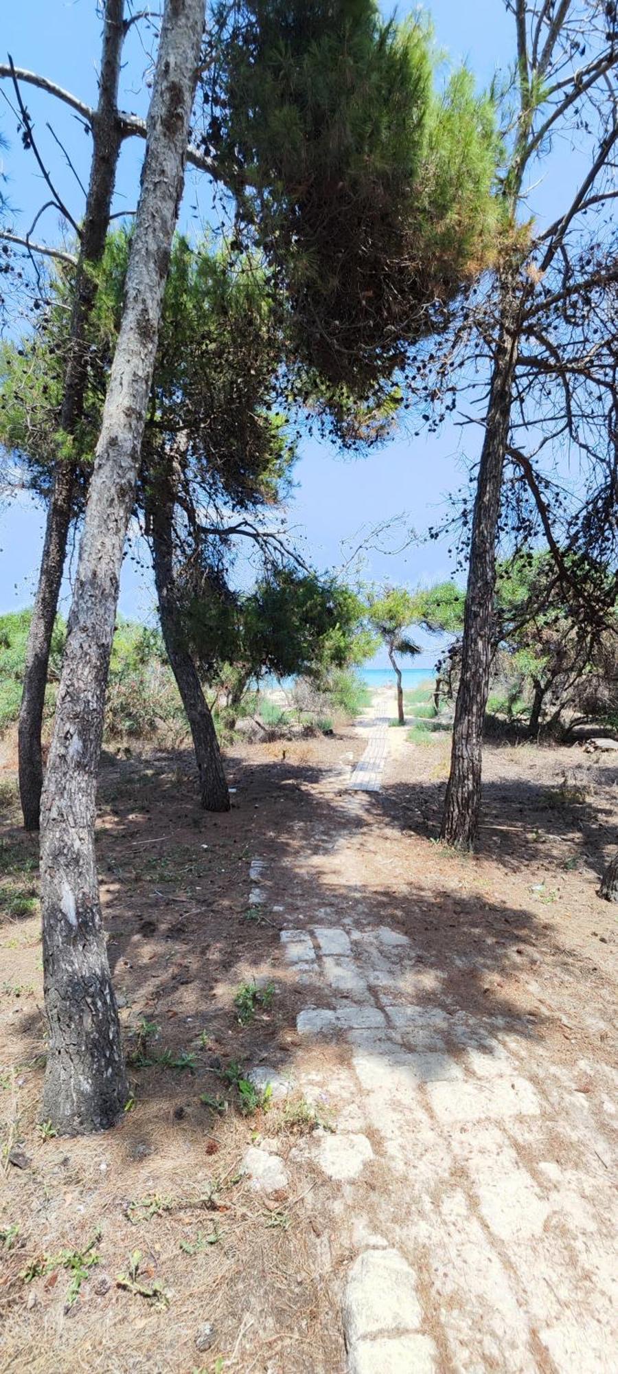Oasis Escape Villa Vaccarizzo-Delfino Kültér fotó
